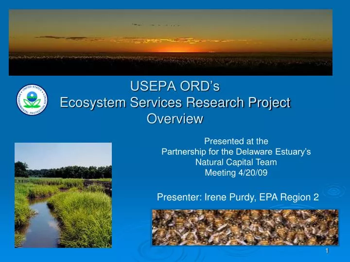 usepa ord s ecosystem services research project overview