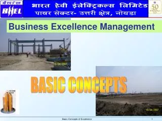 Business Excellence Management