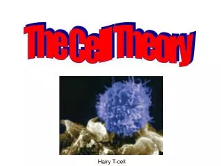 The Cell Theory