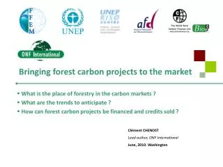 Bringing forest carbon projects to the market