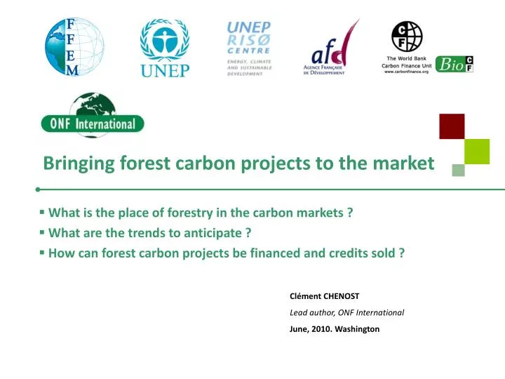 bringing forest carbon projects to the market