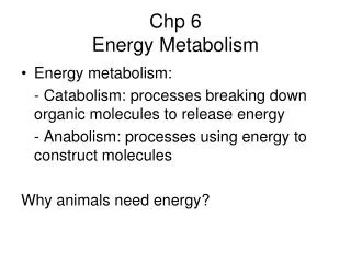 Chp 6 Energy Metabolism