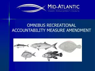 OMNIBUS RECREATIONAL ACCOUNTABILITY MEASURE AMENDMENT