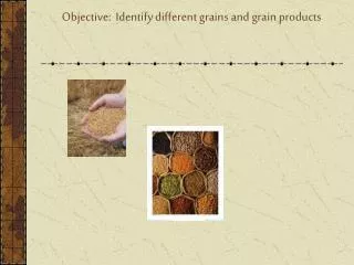 Objective: Identify different grains and grain products