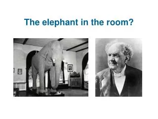 The elephant in the room?