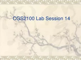 CGS2100 Lab Session 14