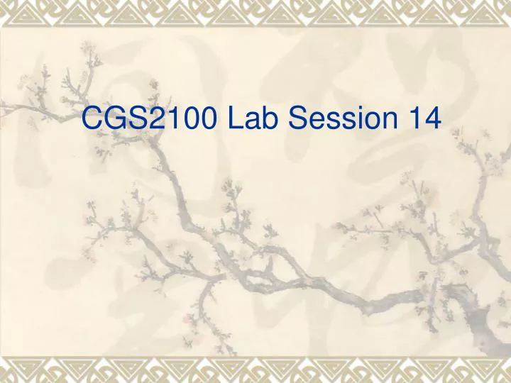 cgs2100 lab session 14