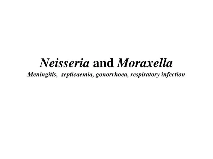 neisseria and moraxella meningitis septicaemia gonorrhoea respiratory infection