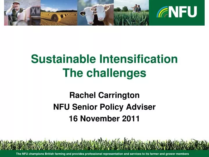 sustainable intensification the challenges