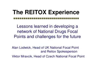 The REITOX Experience