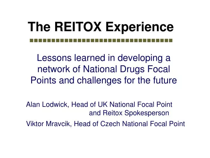 the reitox experience