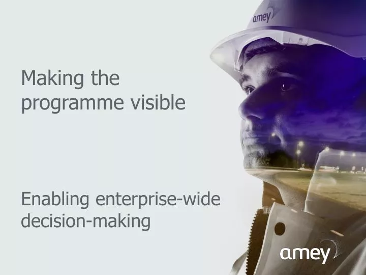 making the programme visible enabling enterprise wide decision making