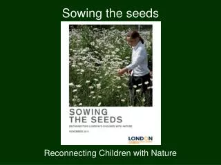 Sowing the seeds