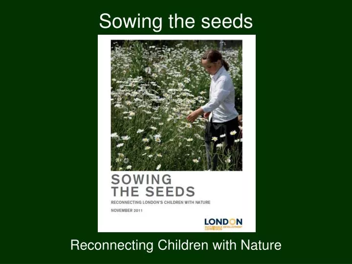 sowing the seeds