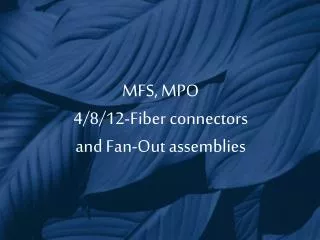 MFS, MPO 4/8/12-Fiber connectors and Fan-Out assemblies