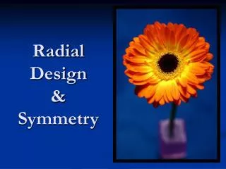 Radial Design &amp; Symmetry