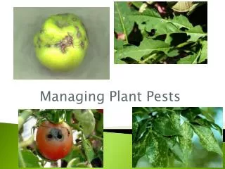 Managing Plant Pests