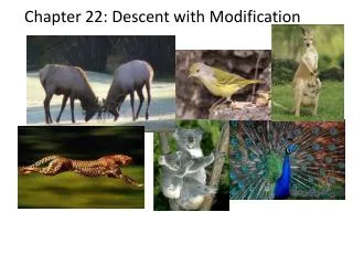 Chapter 22: Descent with Modification