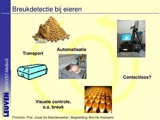 breukdetectie bij eieren