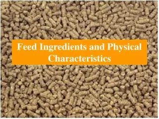Feed Ingredients and Physical Characteristics