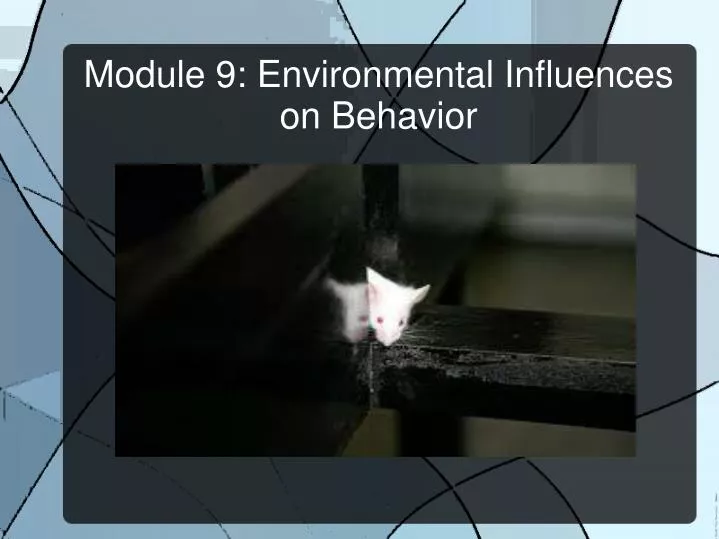 module 9 environmental influences on behavior