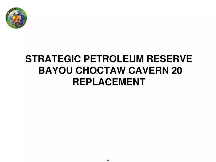strategic petroleum reserve bayou choctaw cavern 20 replacement