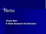 Herbs - slide 1