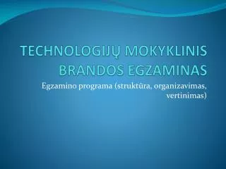 technologij mokyklinis brandos egzaminas