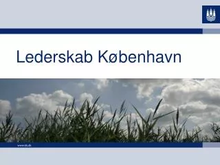 lederskab k benhavn