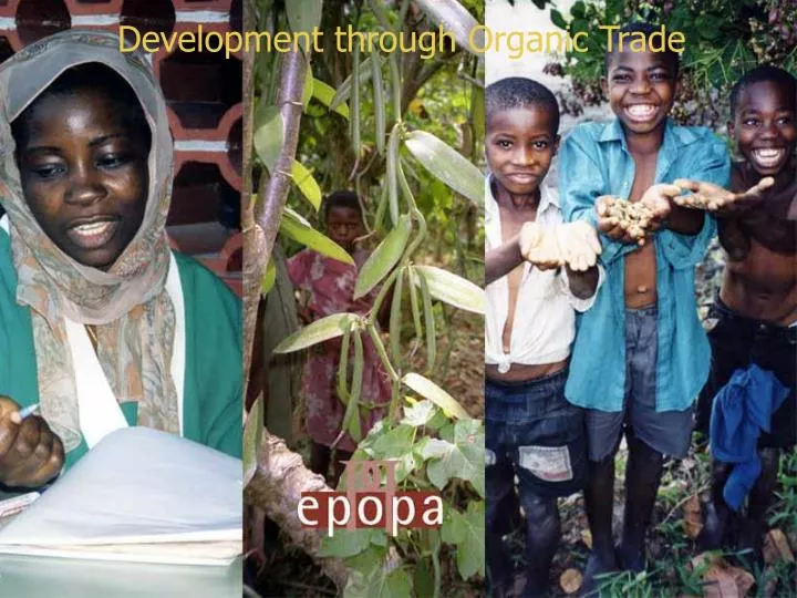development through organic trade