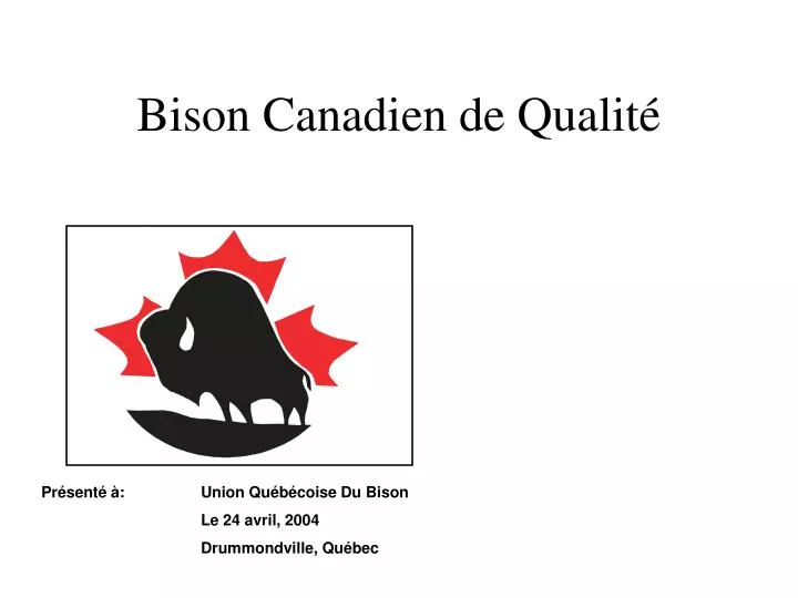 bison canadien de qualit