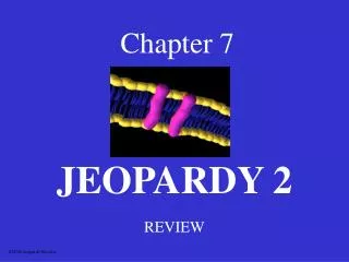 Chapter 7