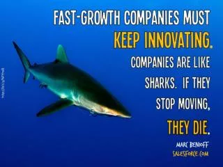 Companies are like sharks. If they stop moving , they die .