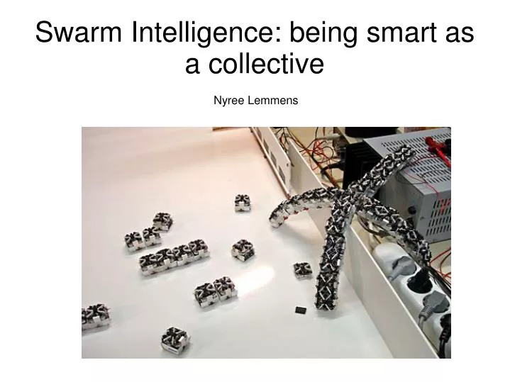 swarm intelligence being smart as a collective