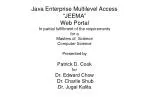 JEEMA: Java Enterprise Multi-level Access Web Portal - slide 1