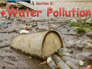 Section 8: Water Pollution