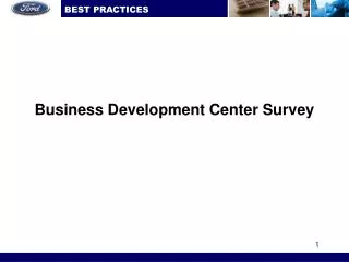 Business Development Center Survey