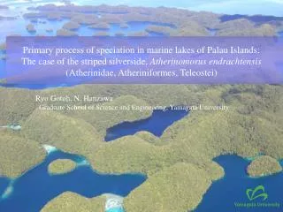 Primary process of speciation in marine lakes of Palau Islands: