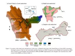 c) Steppler sub-watershed