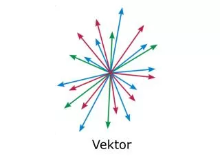 vektor