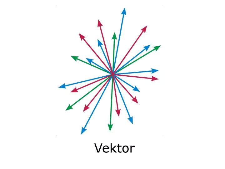 vektor