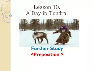 Lesson 10. A Day in Tundra!