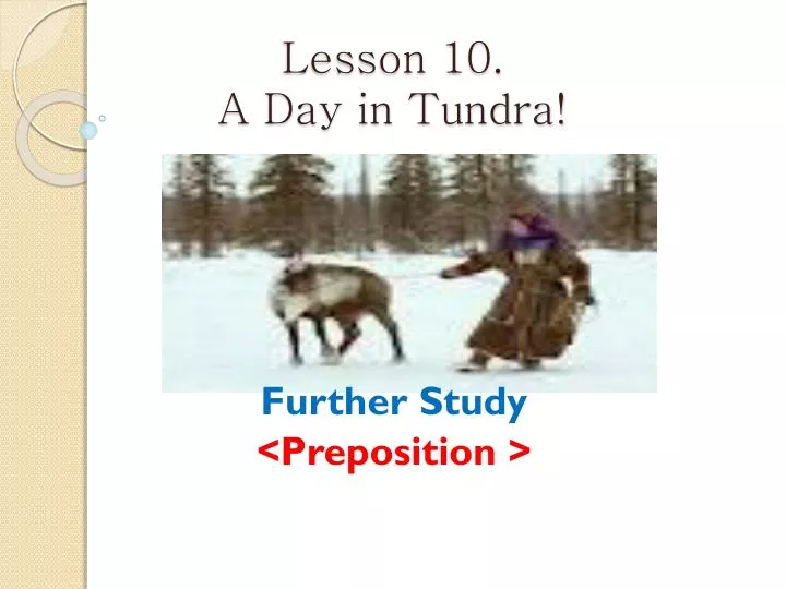lesson 10 a day in tundra