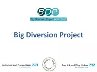 Big Diversion Project