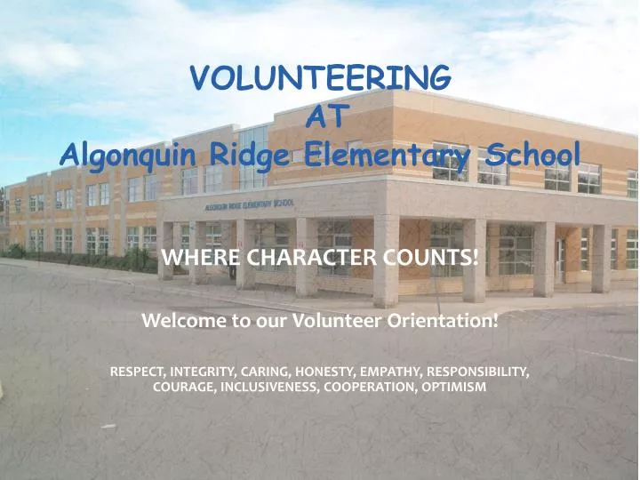 volunteering at algonquin ridge elementary school