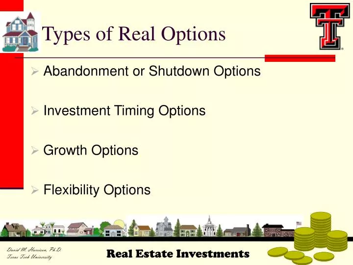 types of real options