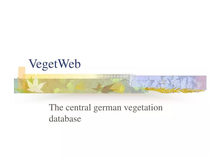 vegetweb