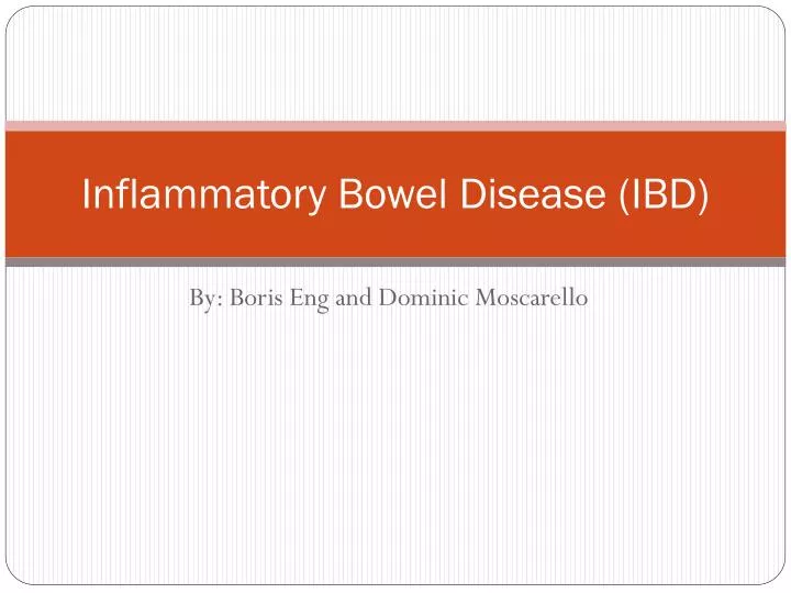 inflammatory bowel disease ibd