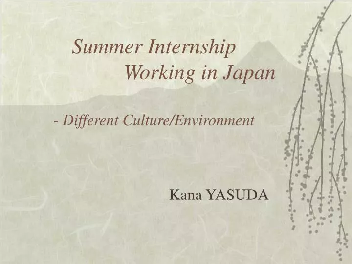 summer internship working in japan different culture environment