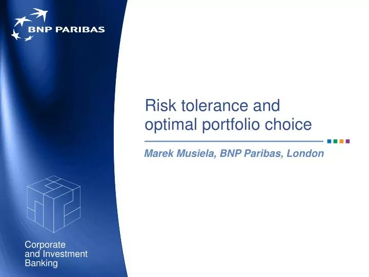 risk tolerance and optimal portfolio choice